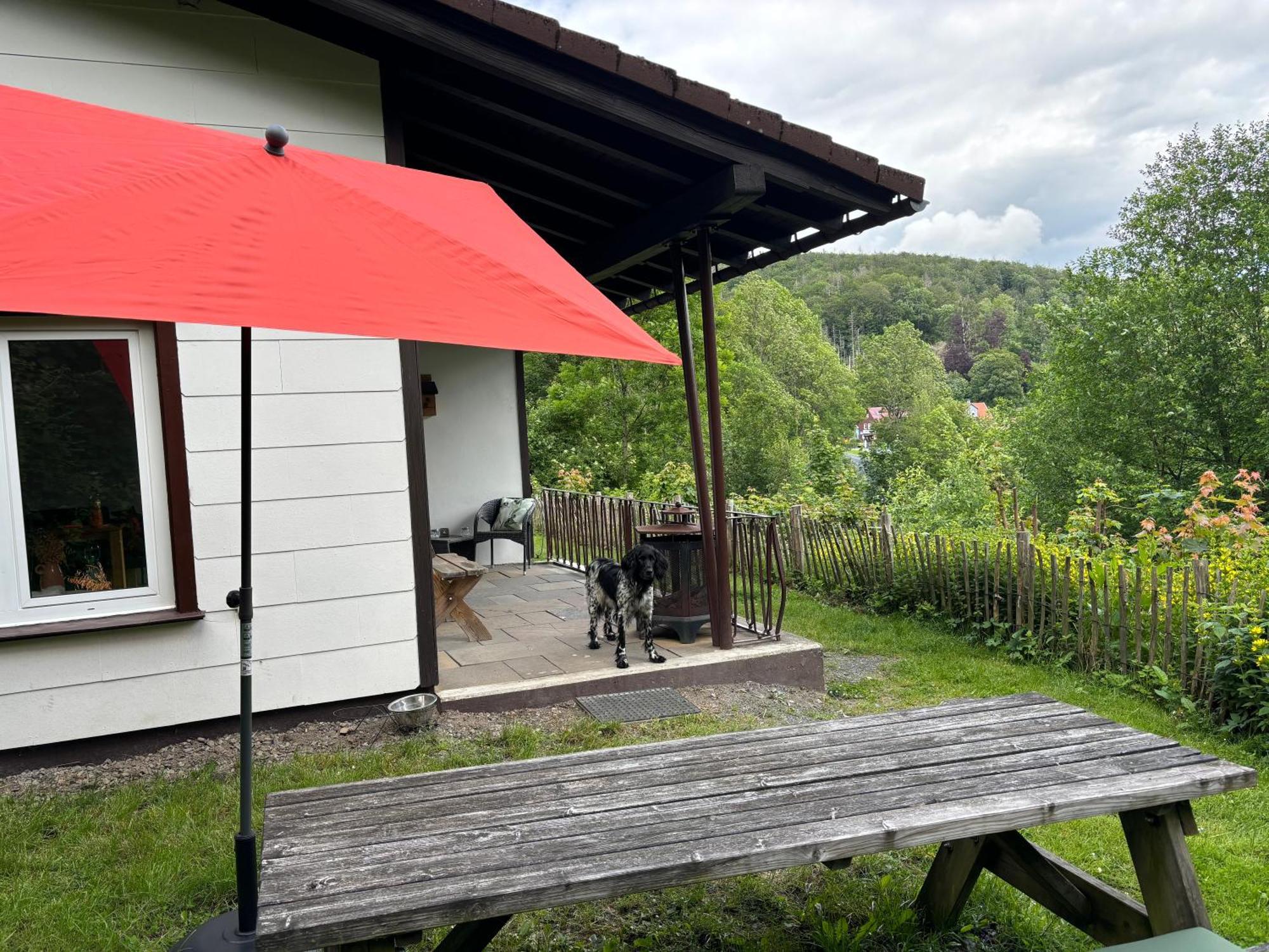 Harzhuisje - Sankt Andreasberg Bagian luar foto