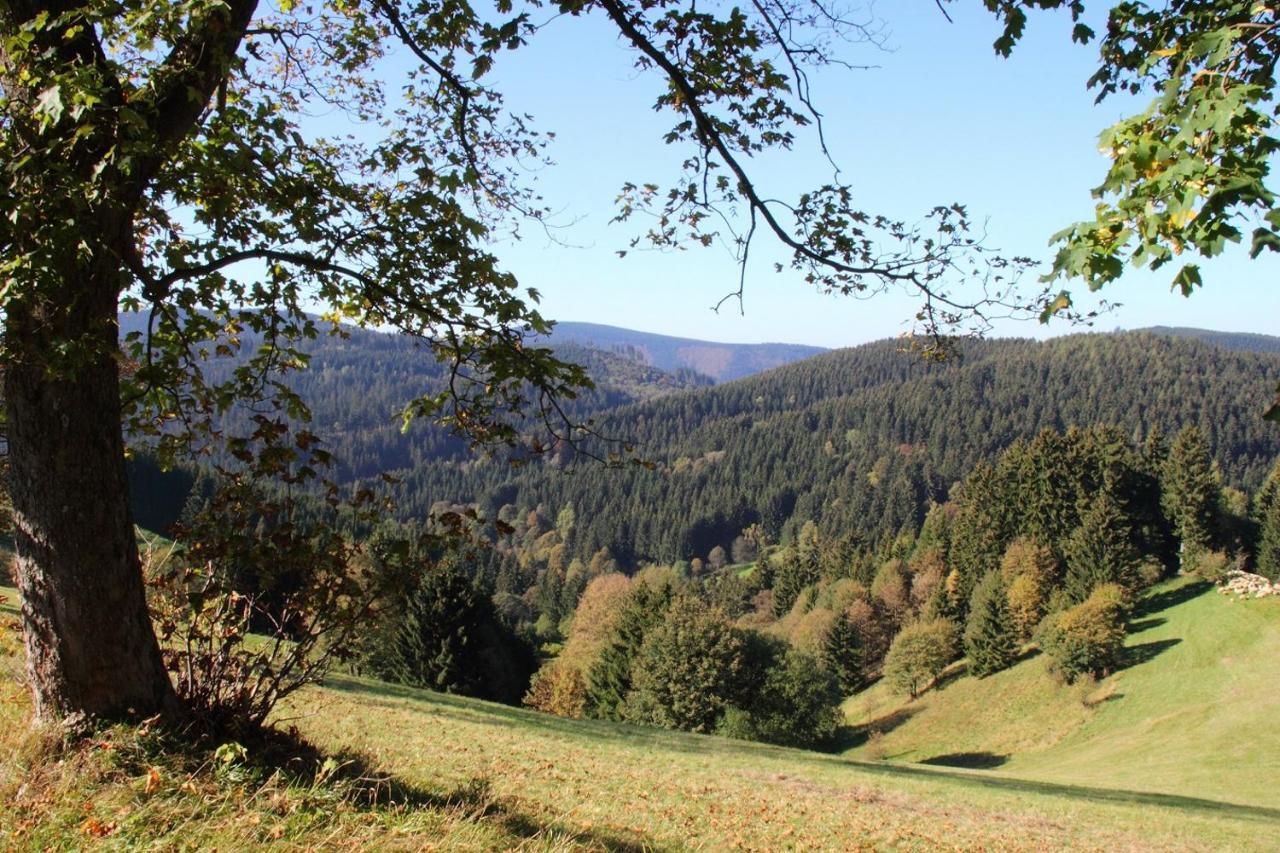 Harzhuisje - Sankt Andreasberg Bagian luar foto