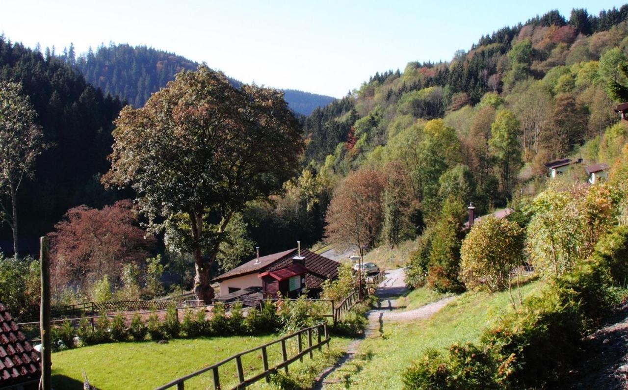 Harzhuisje - Sankt Andreasberg Bagian luar foto