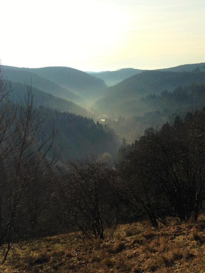 Harzhuisje - Sankt Andreasberg Bagian luar foto