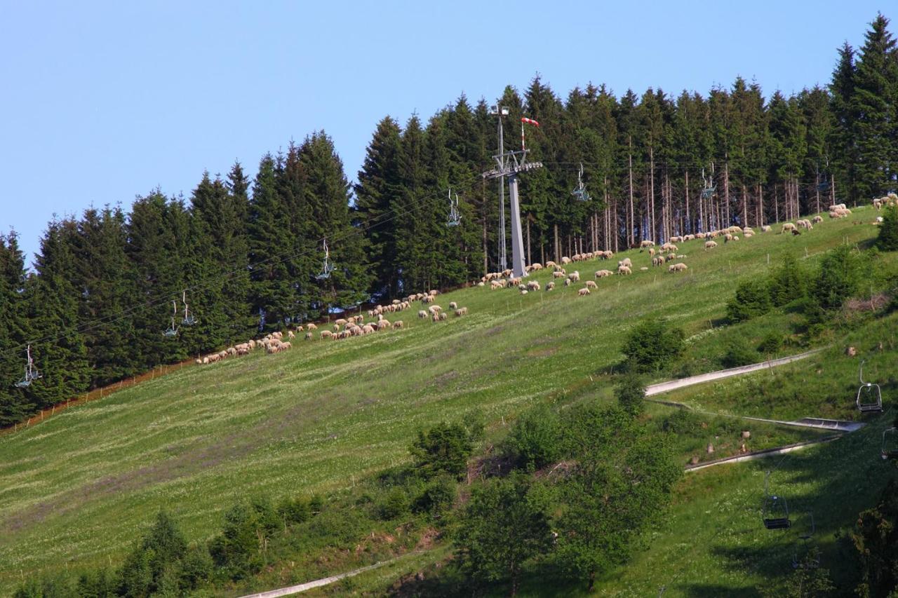Harzhuisje - Sankt Andreasberg Bagian luar foto